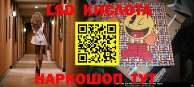 прущие грибы Моздок