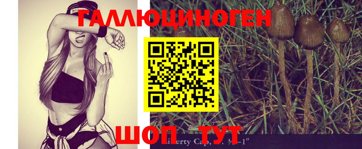 Галлюциногенные грибы Magic Shrooms Карасук