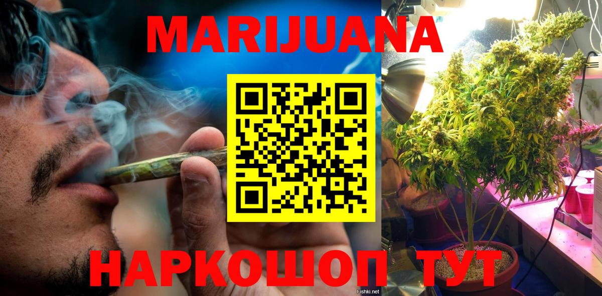 Каннабис планчик  Марихуана план  Бошки Шишки ГИДРОПОН  Карасук  Конопля ГИДРОПОН  Вход с VPN 
